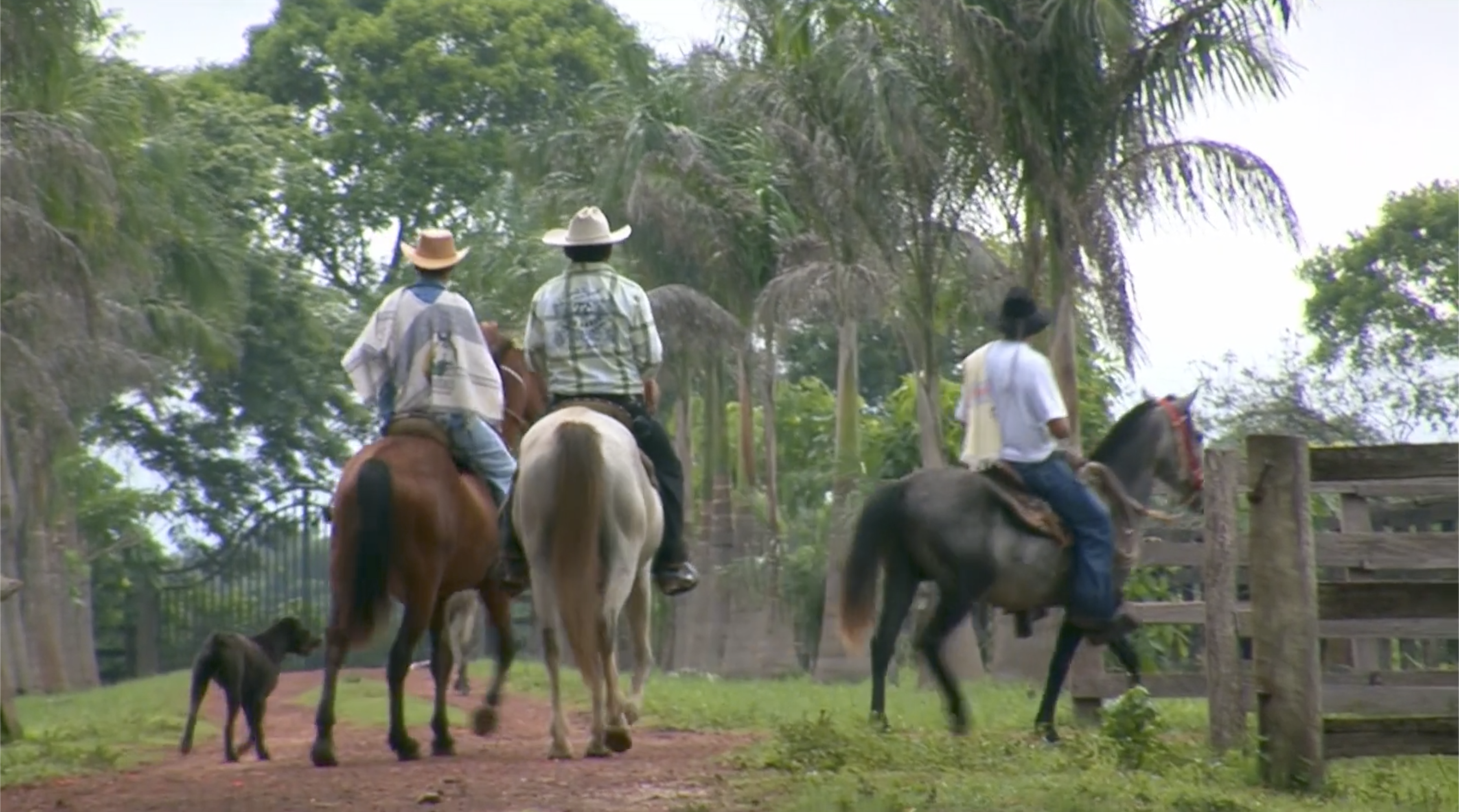 Smithsonian Channel – Latin America Shorts